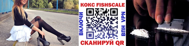 Cocaine Fish Scale  Купить закладки  Суджа 