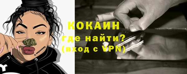 спайс Арсеньев