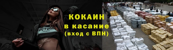 твердый Аркадак