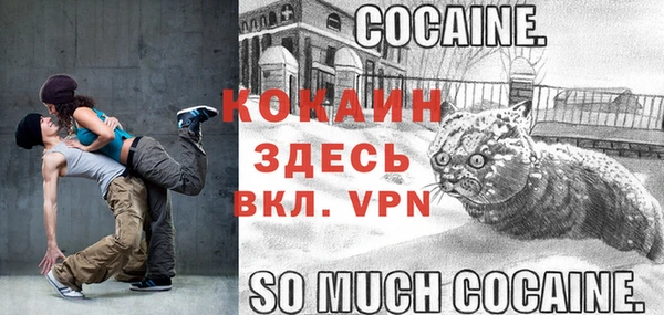 твердый Аркадак