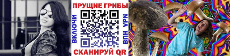 Псилоцибиновые грибы Magic Shrooms Купить закладки Суджа