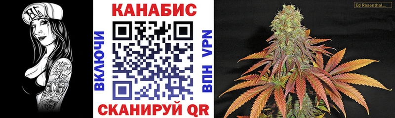 Бошки Шишки Ganja  Купить закладки  Суджа 